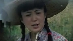 电视剧
