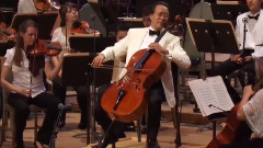 Yo-Yo Ma Performs At Tanglewood