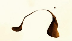 The Aroma of Tea