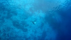 Swimming In Fiji