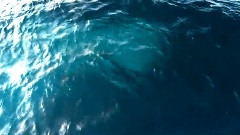 Ocean Blues
