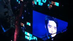 D.O Solo