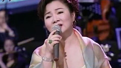 苦恋歌