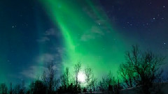 Northern Lights