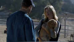 Puppy Love: Budweiser Super Bowl XLVIII Commercial