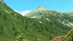 Berlin Philharmonic Orchestra-Concerto for Violin and Strings in E, Op.8, No.1, R.269La Primavera- 1. Allegro