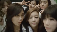 Apink Mini Diary Happy New Year 2014