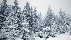 MIKAEL TARIVERDIEV - Winter (Relaxing music)