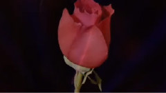 Love Me With All Your Heart (romantic instrumental music)