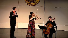 Haydn's Divertissement No. 2, Op. 100 for Flute, Violin and Cello