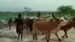 电影