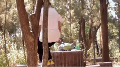 爱音乐爱跑酷