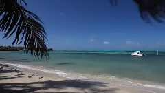 Relaxing Tropical Beach Music