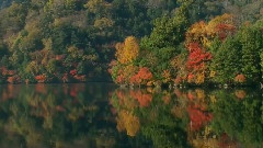 Secret Garden The Autumn