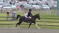 June Fete Horse Show
