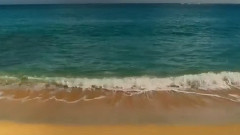 海岸