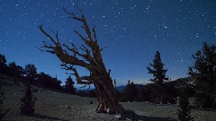 Time Escape On Vimeo
