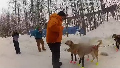 The Race is On