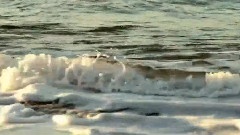 Morning Surf
