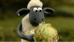 Off The Baa!