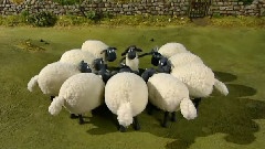 Shaun The Farmer