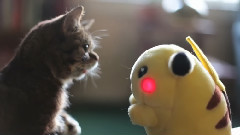 Bub Meets Pikachu