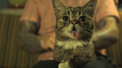 Good Job Bub Day