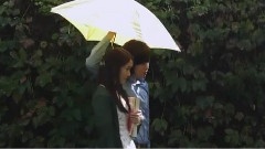 <爱情雨>