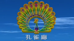 孔雀廊唱片片头