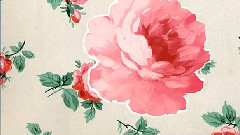 Life Is Rosy