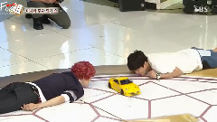 Starking 永才&ZELO Cut