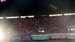 短片合集