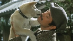 ハチ公物语