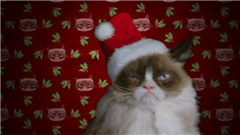 Grumpy Cat's Worst Christmas Ever预告