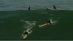Rebel Session