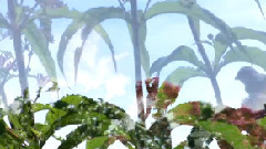 梦追路