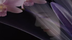 红尘紫陌