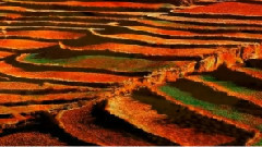 红土地