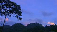 晨曦寂静之声