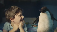 Monty The Penguin