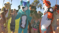 San Diego Fursuit Fun