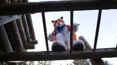 Fursuit Parkour With Ticer