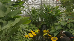 美国城市旅游指南 芝加哥