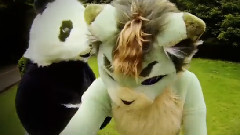 Fursuit Video