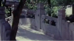 电影<哥儿们折腾记> 片头曲