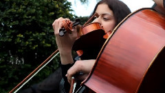 Harmonia Duo