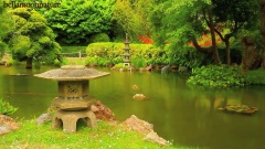 Japanese Tea Garden