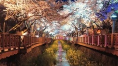 50 Beautiful Places To Visit In Korea