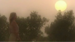 绿洲之梦 纪录片