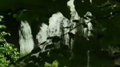记录片